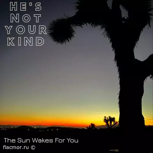 He's Not Your Kind - The Sun Wakes for You (2022)