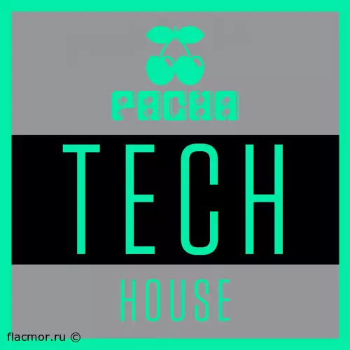 Pacha Tech House (2016)