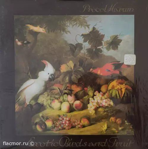 Procol Harum – Exotic Birds And Fruit (1974)