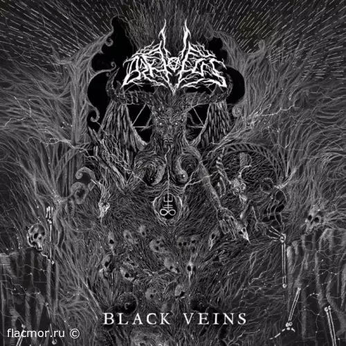 Arktotus - Black Veins (2022)