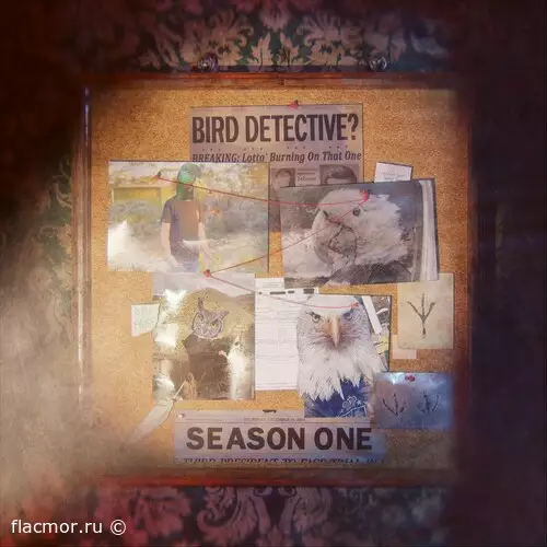 Bird Detective - Season One (2022)