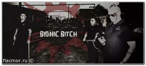 Bionic Bitch - Дискография (2011 - 2022)