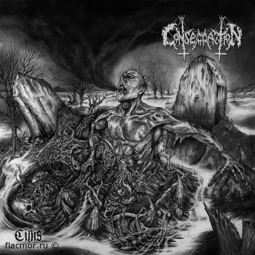 Consecration - Cinis (2022)