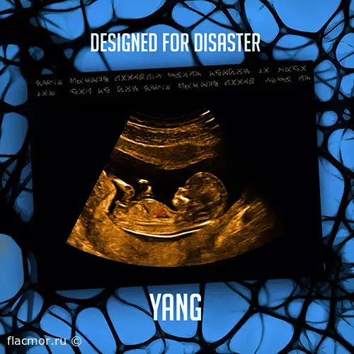 Yang - Designed For Disaster (2022)