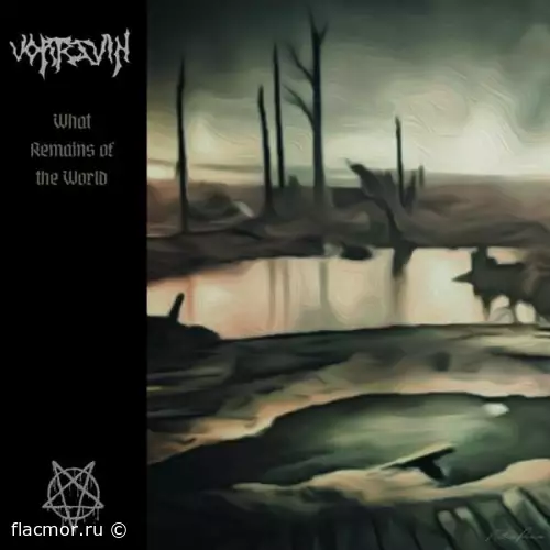 Vortesvin - What Remains of the World (2022)