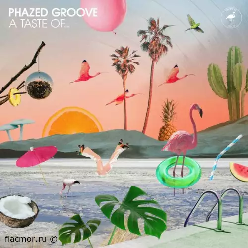 Phazed Groove - A Taste Of (2022)