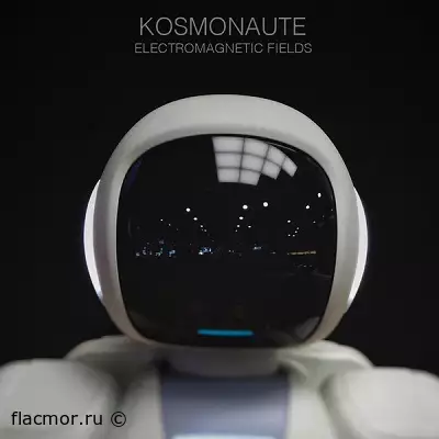 Kosmonaute - Electromagnetic Fields (2022)