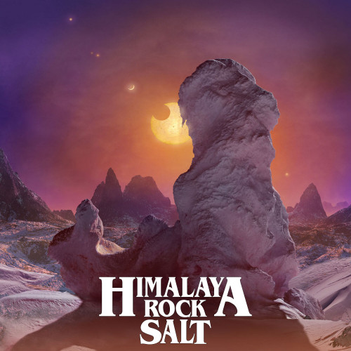 Himalaya Rock Salt - Instant Nourishment [EP] (2023) FLAC