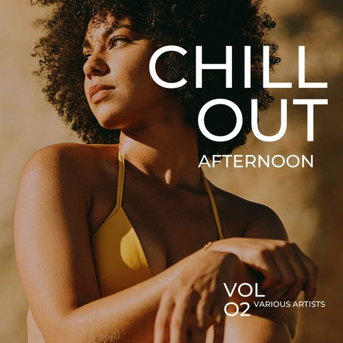 VA - Chill Out Afternoon [Vol. 2] (2023) FLAC