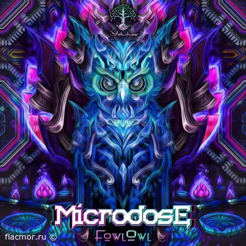 FowlOwl - Microdose (2021)