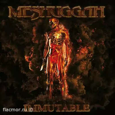 Meshuggah - Immutable (2022)