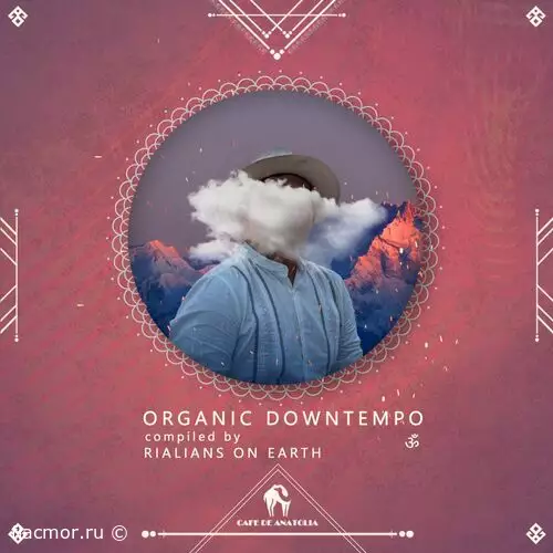 Organic Downtempo (2022)