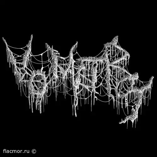 Vomitrot - Дискография (2020 - 2022)