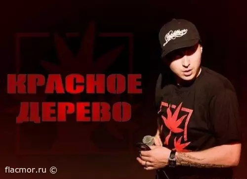 Красное дерево - Дискография (2019-2020)