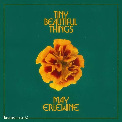 May Erlewine - Tiny Beautiful Things (2022)