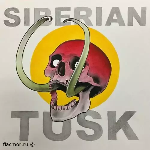 Siberian Tusk - Дискография (2017-2022)