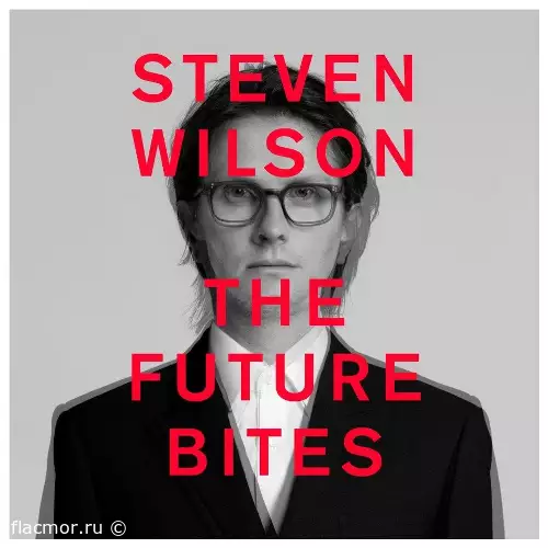 Steven Wilson - The Future Bites (2021)