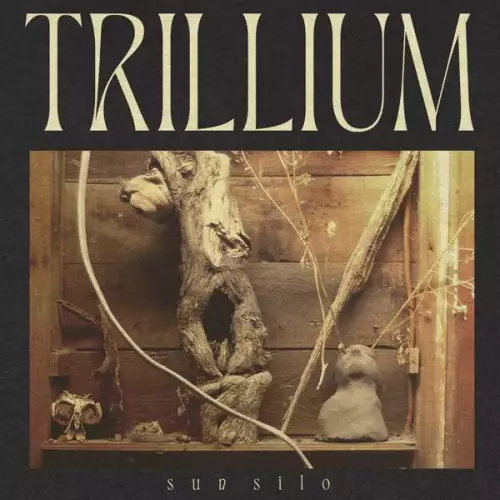 Sun Silo - Trillium (2022)