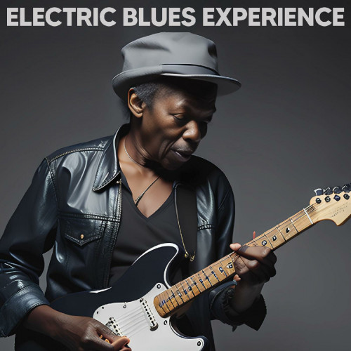 VA - Electric Blues Experience (2023) FLAC