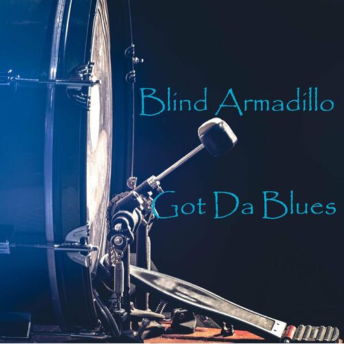 Blind Armadillo - Got da Blues (2023) FLAC