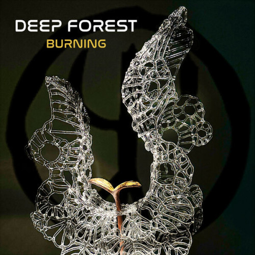 Deep Forest - Burning (2023) FLAC
