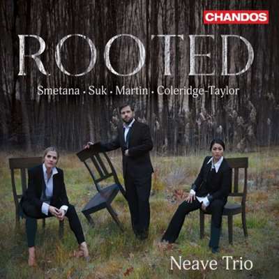 Neave Trio - Rooted [24-bit Hi-Res] (2024) FLAC