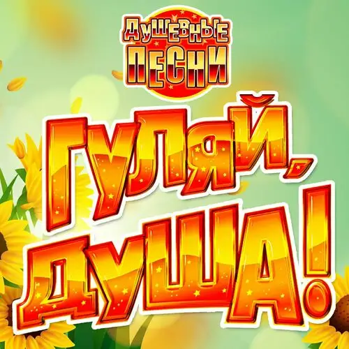 VA - Гуляй, душа! [Душевные песни] (2024) FLAC