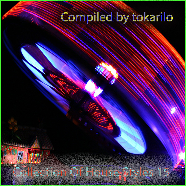 VA - Collection Of House Styles 15 [Compiled by tokarilo] (2024) MP3