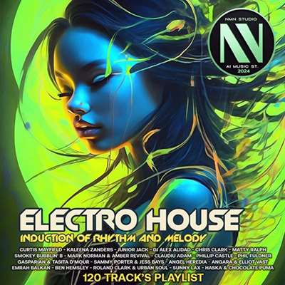 VA - Induction Of Rhythms Electro House (2024) MP3