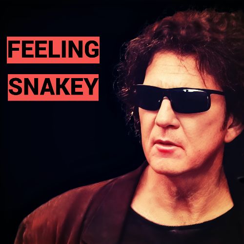 Tony Joe White - Feeling Snakey [24-bit Hi-Res] (2024) FLAC