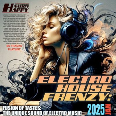 VA - Electro House Frenzy (2024) MP3