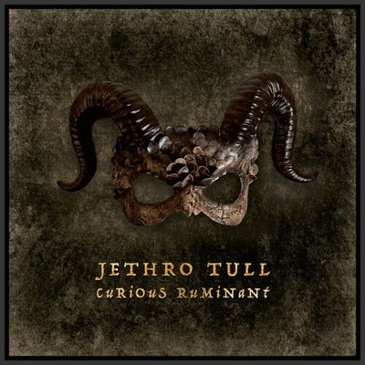 Jethro Tull - Curious Ruminant (2025) MP3
